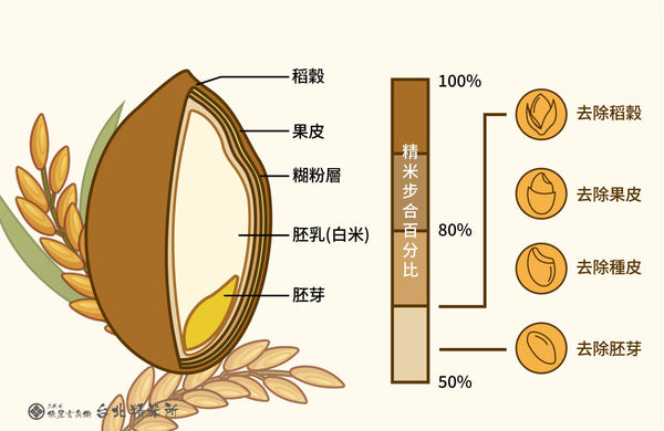 米種履歷指南