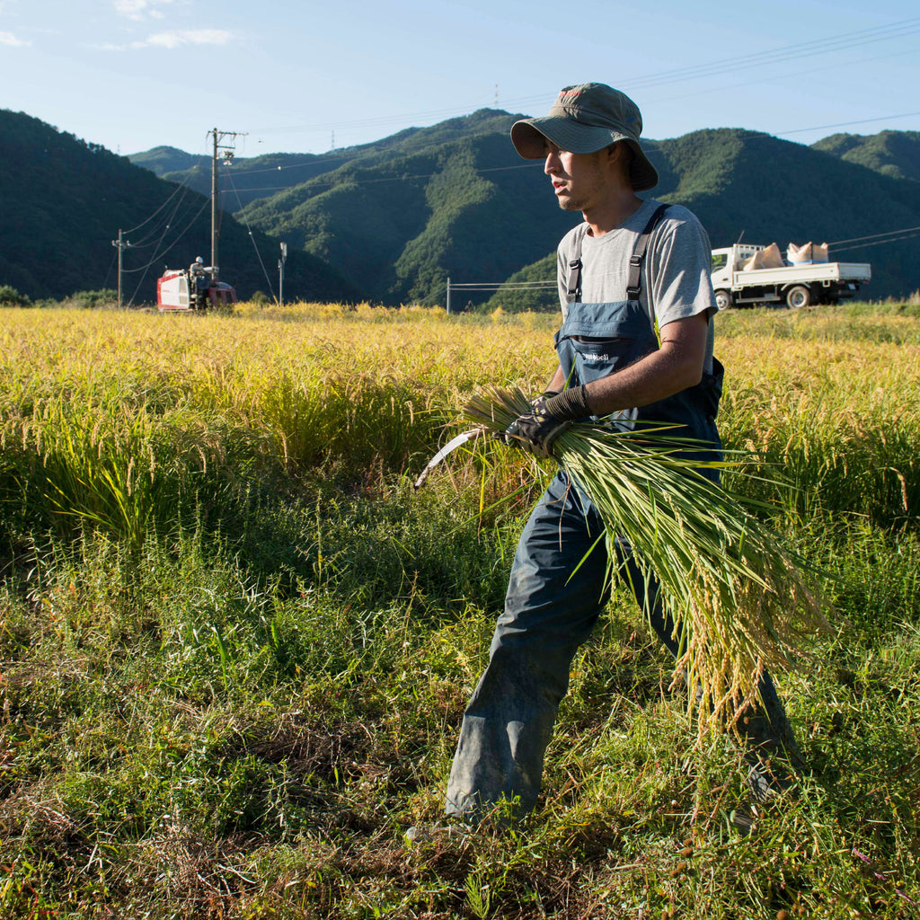 Yamagata-grown Yukiwakemaru rice harvested in Reiwa 7 has arrived.