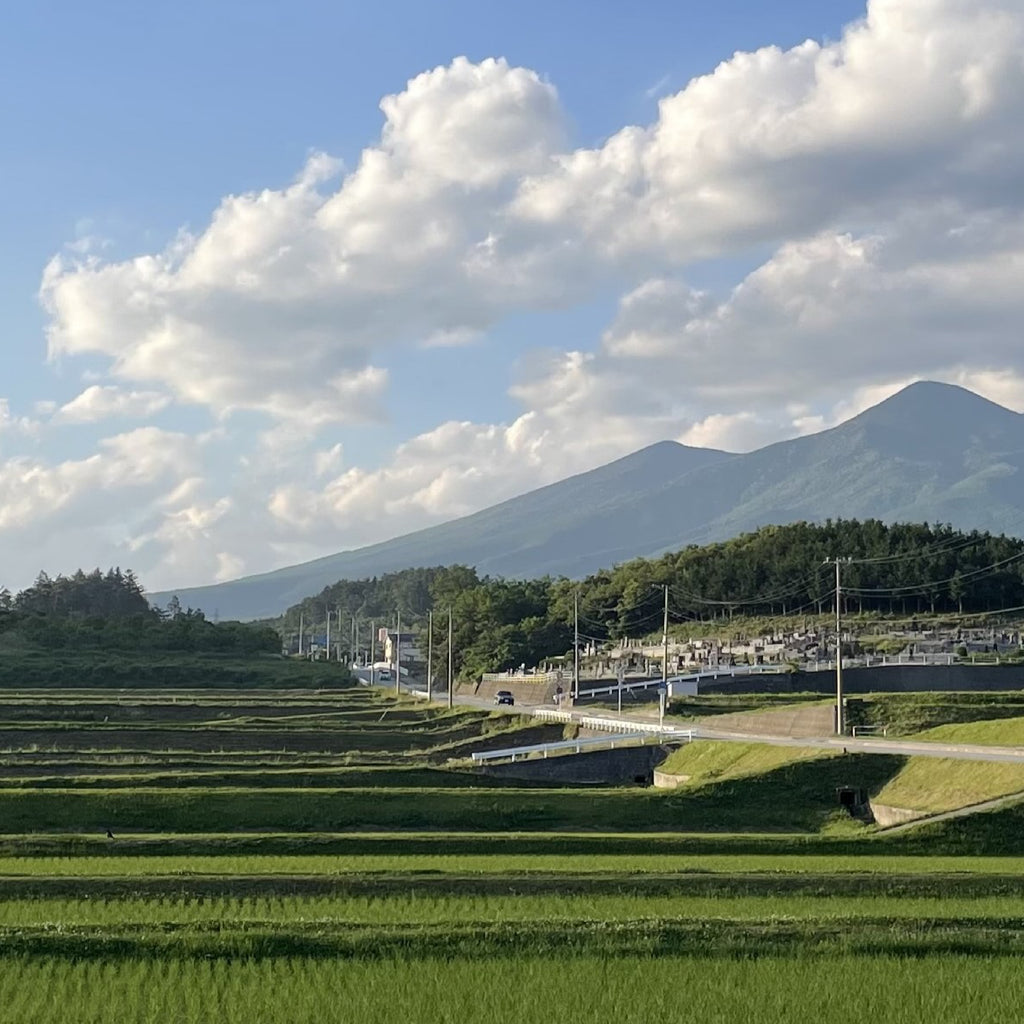 【台北精米所】山梨県 ミルキークイーン